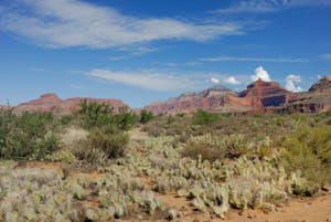 grand canyon<br>NIKON D200, 20 mm, 100 ISO,  1/320 sec,  f : 8 